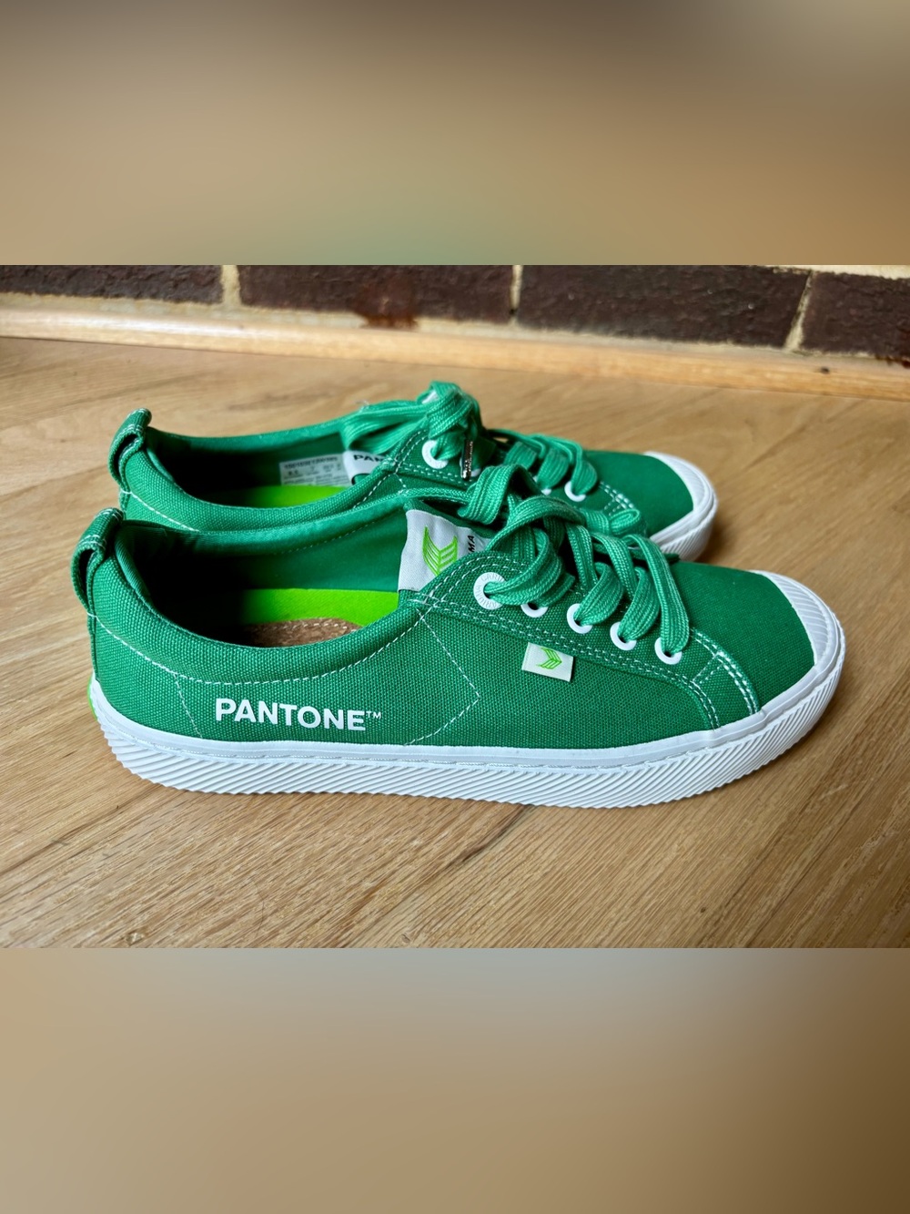 Cariuma OCA Pantone Greenbriar canvas sneakers - 8.5- NWT
